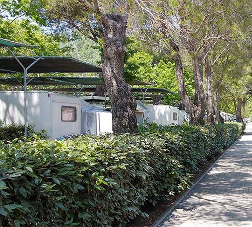 Viale della zona campeggio del Pappasole Camping Village