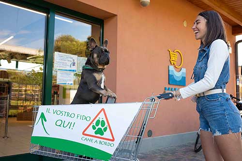 Market del Pappasole Camping Village