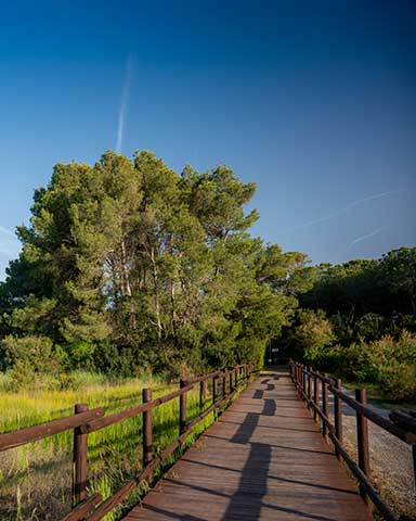 Accesso alla Spiaggia attrezzata del Pappasole Camping Village